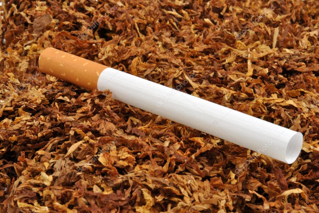 Make Your Own Cigarettes with organic Tobacco from LeafOnly